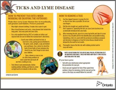 Image of the cover of publication titled  TICKS and LYME DISEASE
