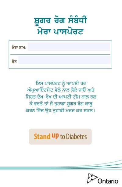 Image of the cover of publication titled  Diabetes Factsheet