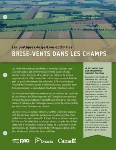 Image de la couverture de la publication intitulée AF168 Pratiques de gestion optimales: Brise-vents dans les champs