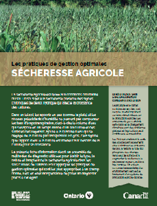 Image de la couverture de la publication intitul&eacute;e Les pratiques de gestion optimales: S&eacute;cheresse agricole (livret)
