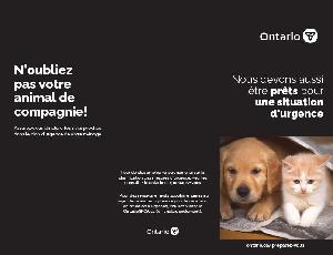 Image of the cover of publication titled  Dépliant : Les animaux et les situations d