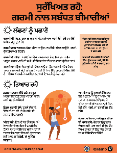Image of the cover of publication titled Flyer: Heat-related Illnesses (Punjabi)