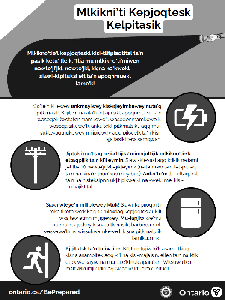 Image de la couverture de la publication intitul&eacute;e Flyer: Power Outage Safety (Mi