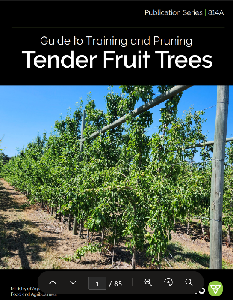 Image of the cover of publication titled Publication 814A: Guide to Training and Pruning Tender Fruit Trees
