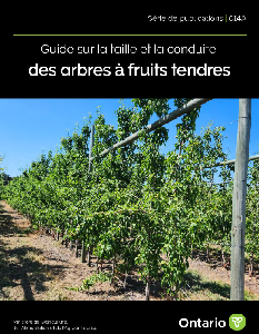 Image of the cover of publication titled Publication 814A : Guide sur la taille et la conduite des arbres &agrave; fruits tendres