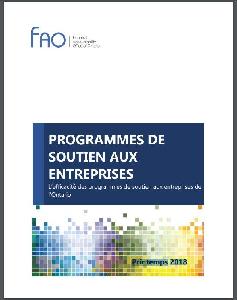 Image of the cover of publication titled Programmes de soutien aux entreprises : L