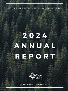 Image of the cover of publication titled  Annual report / 2024