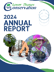 Image de la couverture de la publication intitul&eacute;e  Annual Report / 2024

