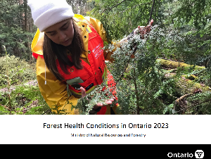 Image de la couverture de la publication intitul&eacute;e  Forest health conditions in Ontario ... 2023
