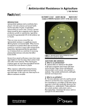 Front cover image of publication 030047