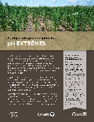 Front cover image of publication 300754