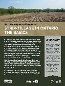 Couverture de la publication 300989