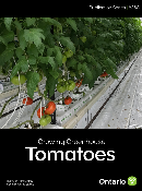 Front cover image of publication 302001