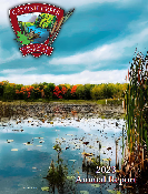 Front cover image of publication CL33998