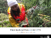 Couverture de la publication CL34047